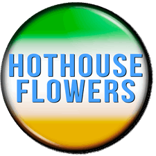 Hothouse flowers 1